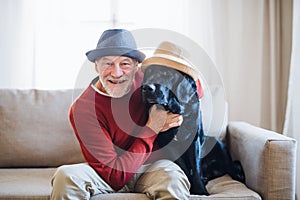 A senior man sitting on a sofa indoors with a pet dog at home, having fun.