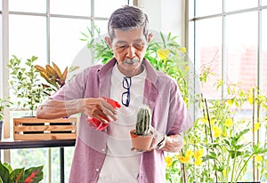 Senior  man standing in the room with plant pots of housplants , taking care of house plants , concentrating on  spraying water to