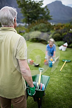 Senior man standing with wheelbarrow