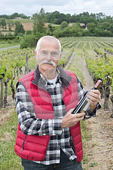 Senior man stood by grapevines holding bottle wine