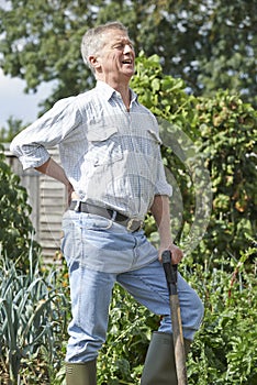 Senior Man Suffering From Back Pain Whilst Gardening