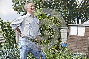 Senior Man Suffering From Back Pain Whilst Gardening