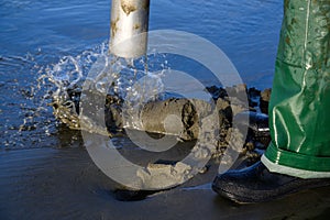 Senior man using clam gun to dig razor clams in the surf, Ocean Shores, Washington State, USA