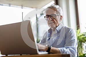 Senior man using laptop at home