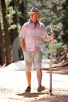 Senior man walking in country