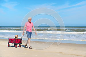 Senior man walking with dog at beach