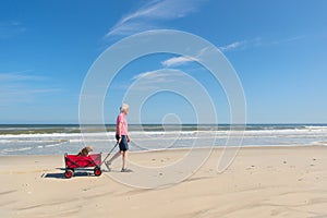 Senior man walking with dog at beach