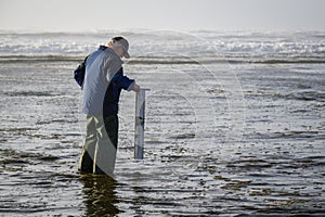 Senior man walking in the surf looking for razor clams, Ocean Shores, Washington State, USA