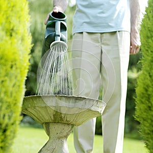 Senior man watering plant. Conceptual image