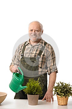 Senior man watering plants