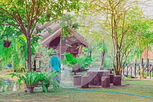 Senior man watering plants with hose and working in garden.