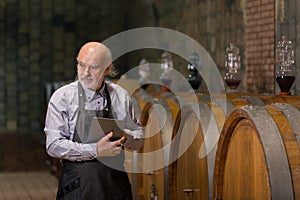 Senior man winemaker at wine cellar