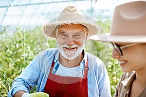 Senior man with woman in the hothouse with tomato plantation