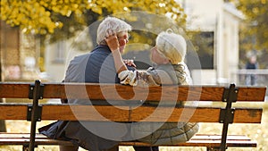 Senior married couple sits on the bench in park, wife touches husband& x27;s hair medium full shot