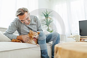 Senior mature adult man playing with chihuahua dog
