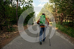 Senior mature man training nordic walking in park enjoying active rest outdoors
