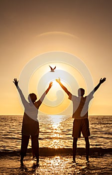 Senior Couple Holding Celebrating Sunset Tropical Beach