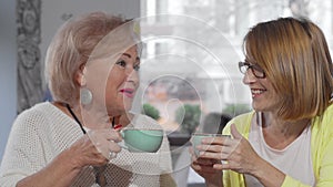 Senior mother chatting to her daughter over cup of coffee at the cafe