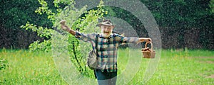 Senior with mushroom on spring rain, banner. Mushrooming in forest, Grandfather hunting mushrooms over summer forest