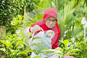 Senior muslim woman gardening with a watering can