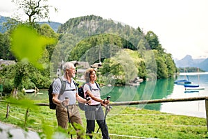 Senior pensioner couple with nordic walking poles hiking in nature, talking.