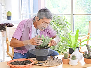 Senior people lifestyle and gardening concept. Active  Asian elderly male gardener sitting at table with houseplants and gardening