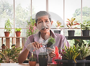 Senior people lifestyle and gardening concept. Active  Asian elderly male gardener sitting at table with houseplants  , taking