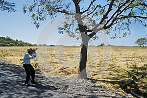 Senior photographer taking a photo of two monkeys