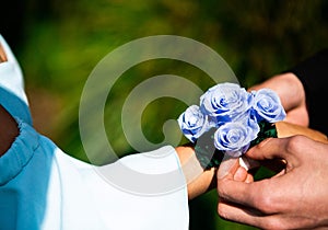 Senior Prom - Putting on the corsage