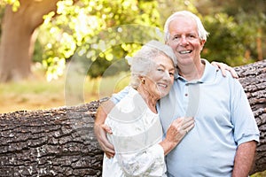 Senior Resting On Tree In Park