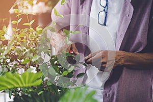 Senior retired man cutting plant inside his home garden