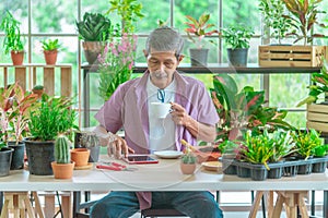 Senior retired man having coffee in a greenhouse garden while surfing on the Internet