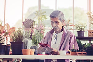 Senior retired man having coffee in a greenhouse garden while surfing on the Internet