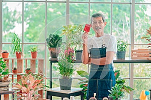 Senior retired man wearing apron standing in greenhouse garden with gardening tool in his hand