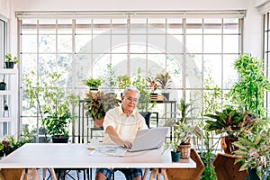 A senior retired old man dressed in casual style is using a laptop and smiling while sitting at home with an indoor garden.