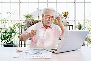 Senior retired old man dressed in pink casual style is using a laptop while drinking coffee at a home indoor garden.