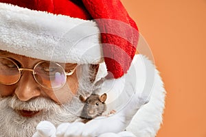 Senior Santa Claus in white gloves domesticate little rat