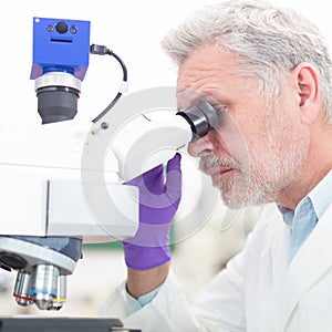 Senior scientist microscoping in lab.