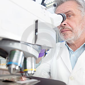 Senior scientist microscoping in lab.