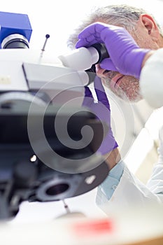 Senior scientist microscoping in lab. photo