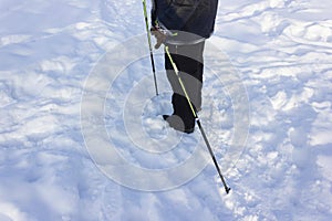 Senior at the snow in winter nordic walking