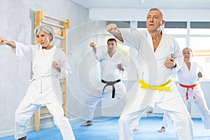 Senior students perform basic movements and repeat to hold pose, learning technique of kata