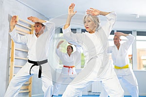 Senior students perform basic movements and repeat to hold pose, learning technique of kata