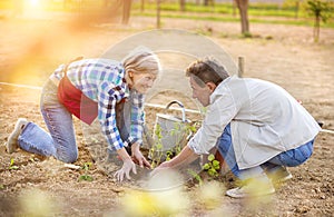 Senior in their garden