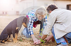 Senior in their garden