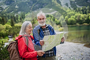 Senior tourists with backpacks reading map, preparing for hike.