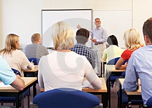 Senior tutor teaching class