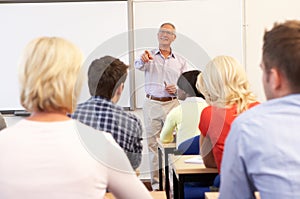 Senior tutor teaching class