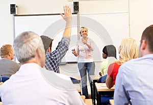 Senior tutor teaching class