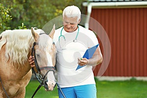 Senior veterinarian with clipboard near palomino horse